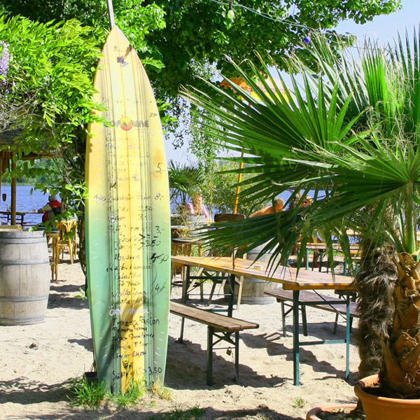 Beachbar Lambsheim Palmen