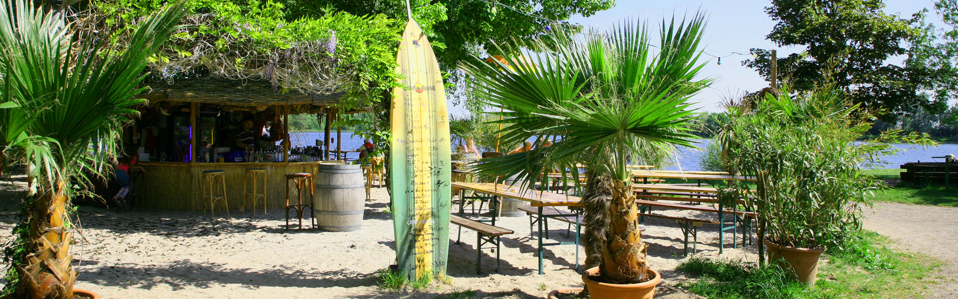 Beachbar Lambsheim Palmen